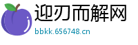 迎刃而解网